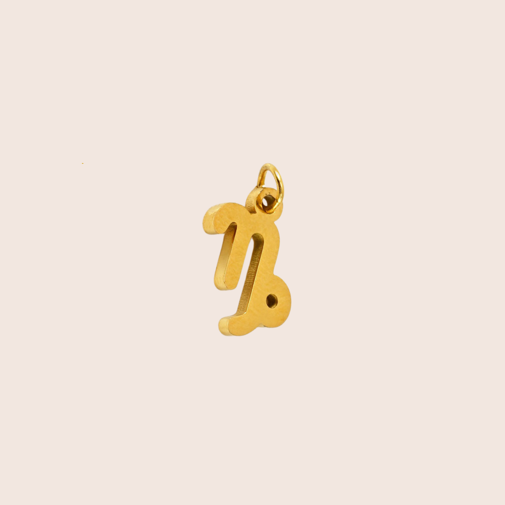 Zodiac Charm