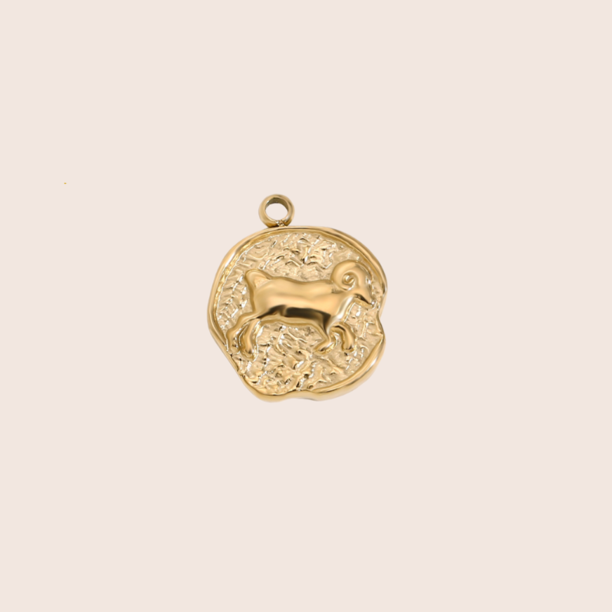 Zodiac Coin Charm