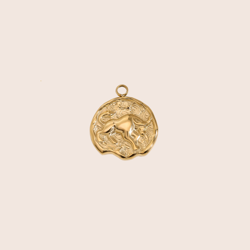 Zodiac Coin Charm