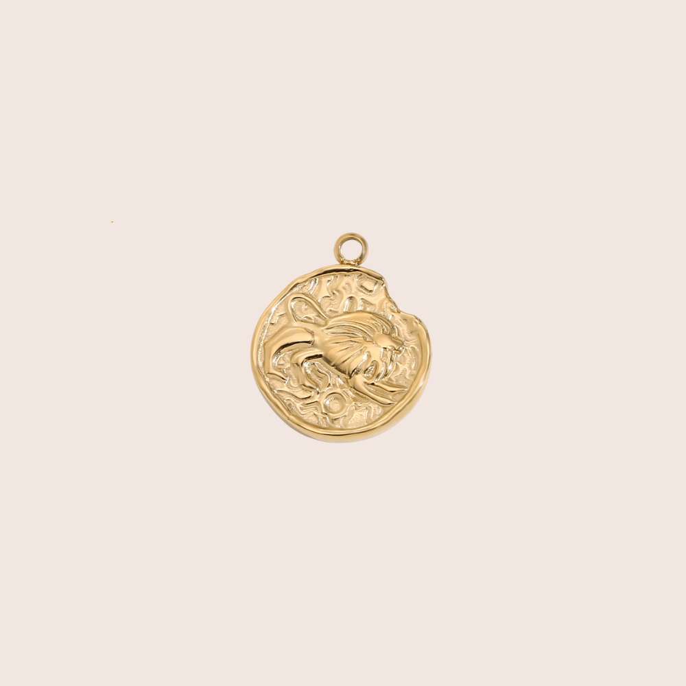 Zodiac Coin Charm