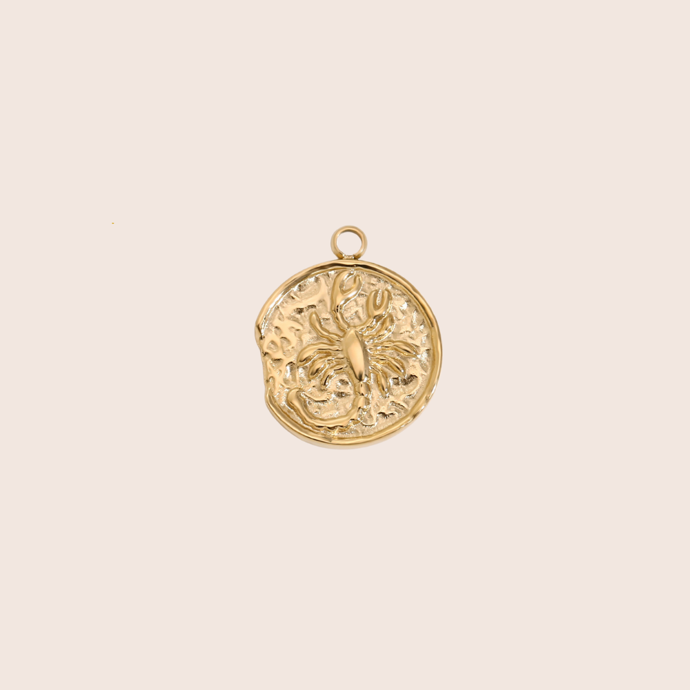 Zodiac Coin Charm