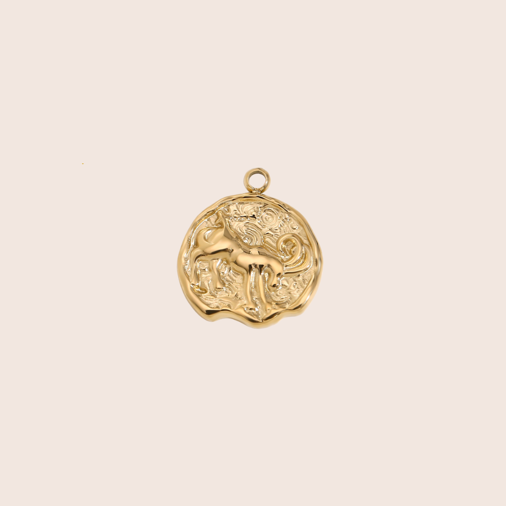 Zodiac Coin Charm