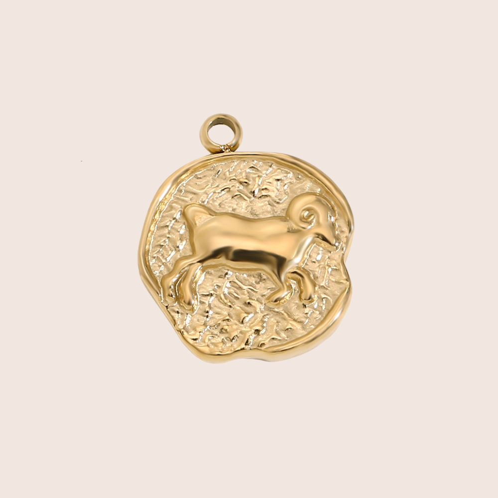 Zodiac Coin Charm