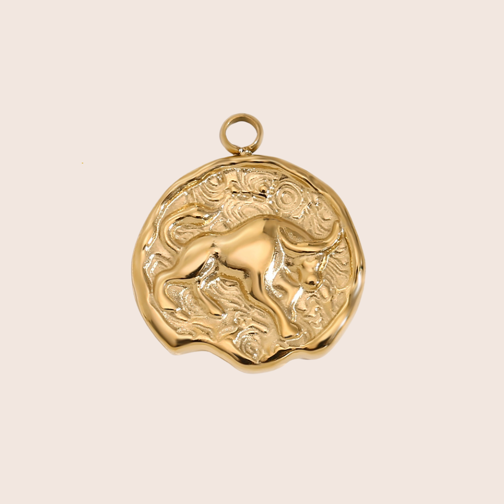 Zodiac Coin Charm