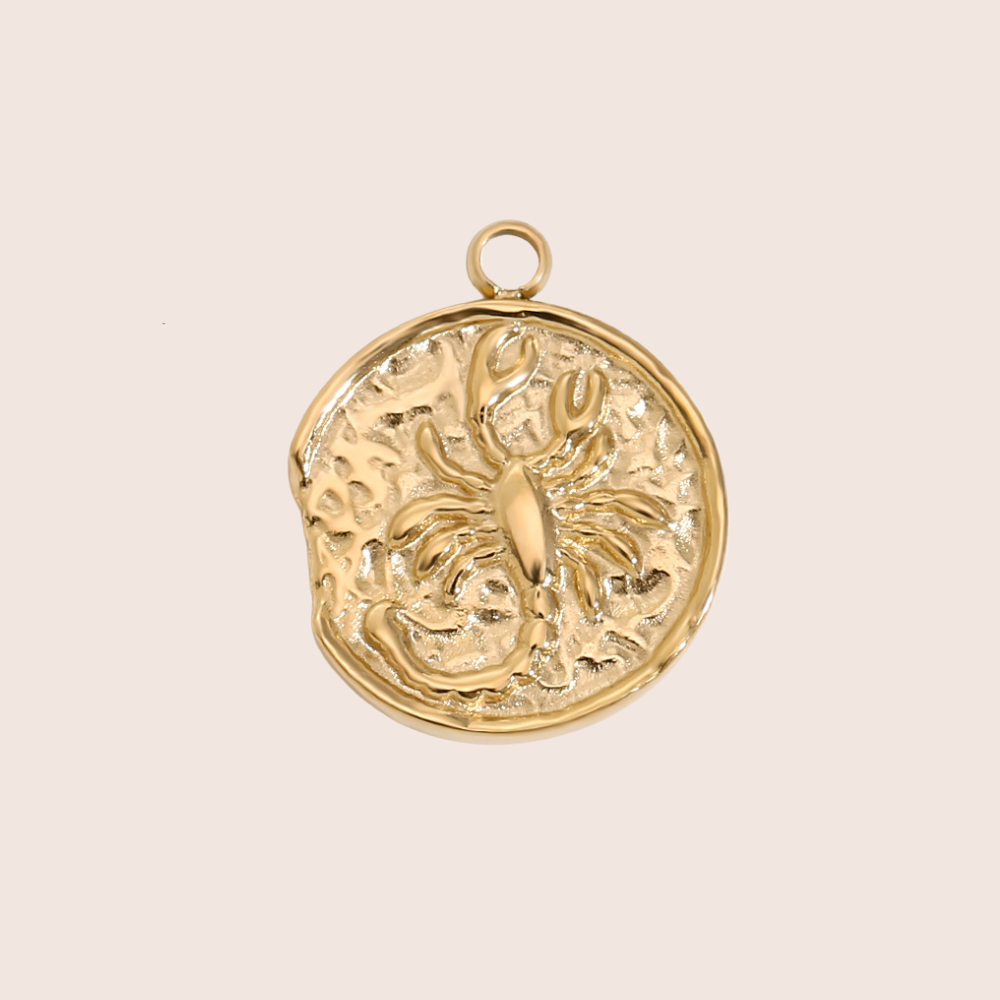 Zodiac Coin Charm