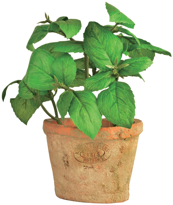Faux Basil In Aged Terracotta Pot