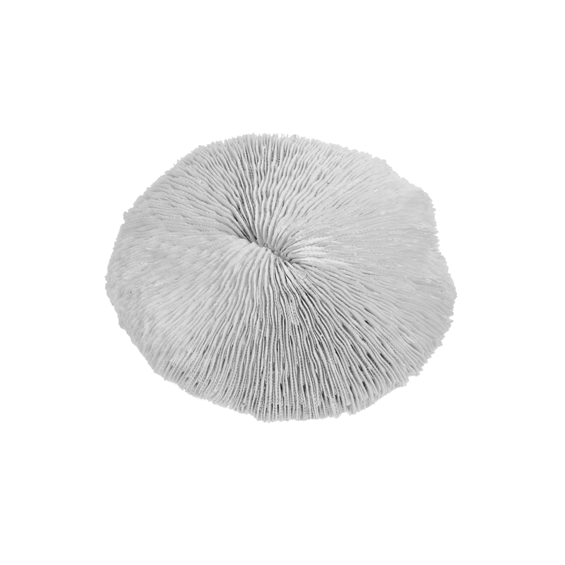 Resin Mushroom Coral Ornament