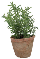 Faux Thyme In Aged Terracotta Pot